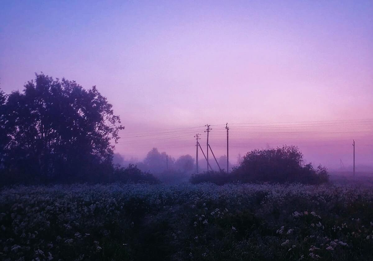 betvictor伟德官网：开启全新体育博彩体验的最佳选择